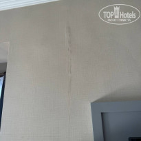 фото из отзыва ID 2723093