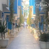 фото из отзыва ID 2722114