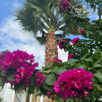 фото из отзыва ID 2723100