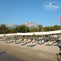 фото из отзыва ID 2723156