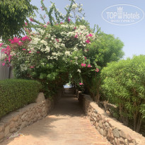 фото из отзыва ID 2723185