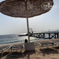 фото из отзыва ID 2723185