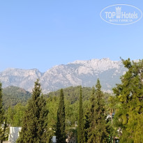 фото из отзыва ID 2723203