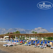 фото из отзыва ID 2723203