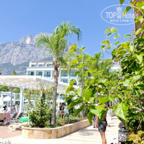 фото из отзыва ID 2723203