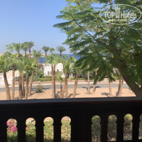 фото из отзыва ID 2723185