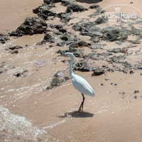 фото из отзыва ID 2723197