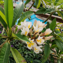 фото из отзыва ID 2723197