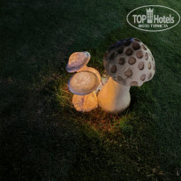 фото из отзыва ID 2723197