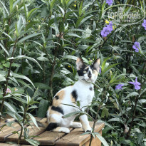 фото из отзыва ID 2723211