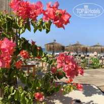 фото из отзыва ID 2723211