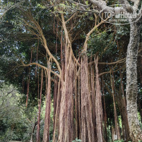 фото из отзыва ID 2723211