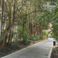 фото из отзыва ID 2723211