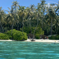 фото из отзыва ID 2723212