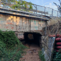 фото из отзыва ID 2723223