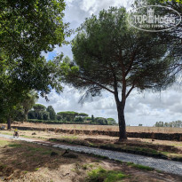 фото из отзыва ID 2723223