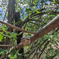 фото из отзыва ID 2723223