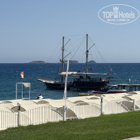 фото из отзыва ID 2723231