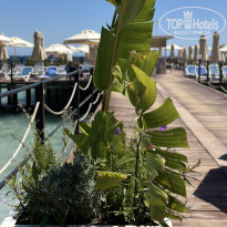 фото из отзыва ID 2723240