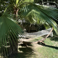 фото из отзыва ID 2723240