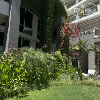 фото из отзыва ID 2723240