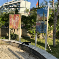 фото из отзыва ID 2723259