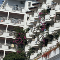 фото из отзыва ID 2723281