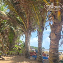 фото из отзыва ID 2723314