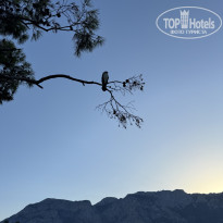 фото из отзыва ID 2723325