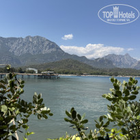 фото из отзыва ID 2723325