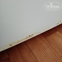 фото из отзыва ID 2723365