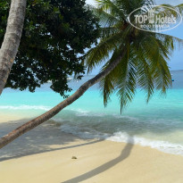 фото из отзыва ID 2723427