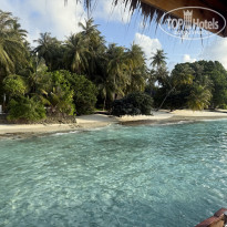 фото из отзыва ID 2723427