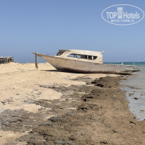 фото из отзыва ID 2723436