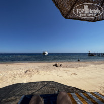 фото из отзыва ID 2723438