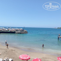 фото из отзыва ID 2723443