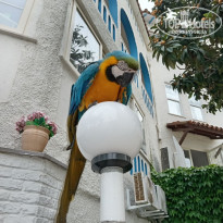 фото из отзыва ID 2723443