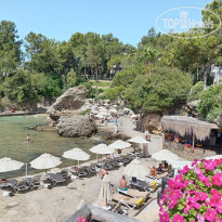 фото из отзыва ID 2723443