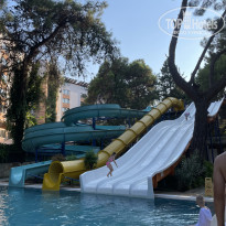 фото из отзыва ID 2723460