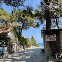 фото из отзыва ID 2723460