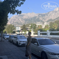 фото из отзыва ID 2723487