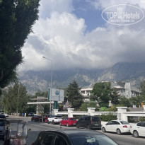 фото из отзыва ID 2723487