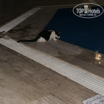 фото из отзыва ID 2723497