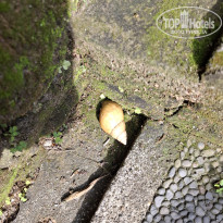 фото из отзыва ID 2723565