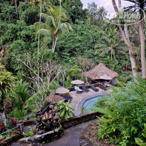 фото из отзыва ID 2723565