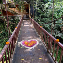 фото из отзыва ID 2723565