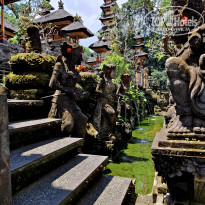 фото из отзыва ID 2723565