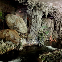 фото из отзыва ID 2723565