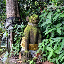 фото из отзыва ID 2723565