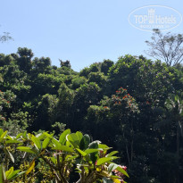 фото из отзыва ID 2723565